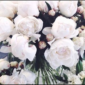 Meet your Posher, Gisela